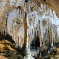 Carlsbad Caverns National Park