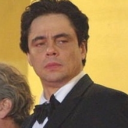 Benicio del Toro